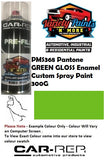 PMS368 Pantone GREEN Gloss Enamel Custom Spray Paint 300G