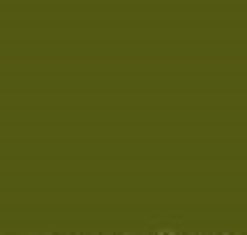 PMS378 Pantone Olive Green SATIN Enamel Custom Spray Paint 300 Grams