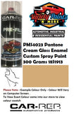 PMS4023 Pantone Cream Gloss Enamel Custom Spray Paint 300 Grams 18S1913