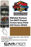 PMS4027 Pantone Tan MATT Enamel Custom Spray Paint 300 Grams 18S1329