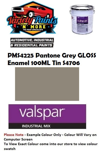 PMS4225 Pantone Grey GLOSS Enamel 100ML Tin S4706