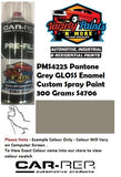 PMS4225 Pantone Grey GLOSS Enamel Custom Spray Paint 300 Grams S4706