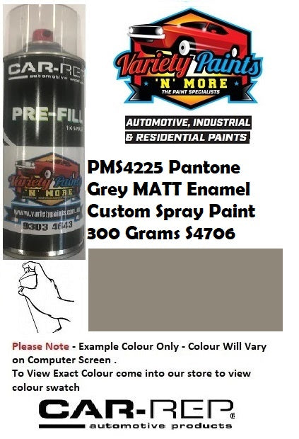 PMS4225 Pantone Grey MATT Enamel Custom Spray Paint 300 Grams S4706