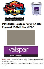 PMS4225 Pantone Grey SATIN Enamel 100ML Tin S4706