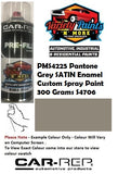 PMS4225 Pantone Grey SATIN Enamel Custom Spray Paint 300 Grams S4706