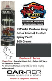 PMS446 Pantone Grey Gloss Enamel Custom Spray Paint 300 Grams