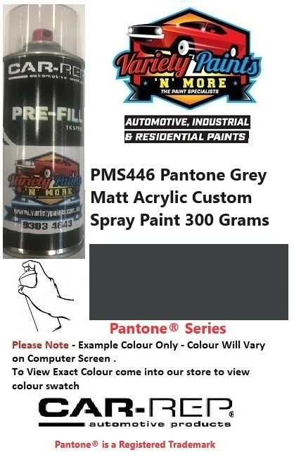 PMS446 PANTONE Charcoal GREY 303 MATT ACRYLIC 300G AEROSOL
