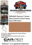 PMS4645 Pantone® Brown Gloss Enamel Custom Spray Paint 300 Grams