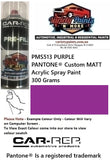 PMS513 PURPLE PANTONE® Custom MATT Acrylic Spray Paint 300 Grams