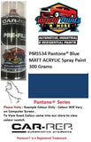 PMS534 Pantone® Blue MATT ACRYLIC Spray Paint 300 Grams