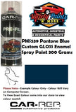 PMS539 Pantone Blue Custom GLOSS Enamel Spray Paint 300 Grams