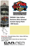 PMS601 Pale Yellow Pantone Gloss Enamel Custom Spray Paint 300 Grams