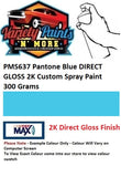 PMS637 Pantone Blue MATT 2K Custom Spray Paint 300 Grams