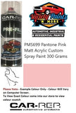 PMS699 Pantone Pink Matt Acrylic Custom Spray Paint 300 Grams