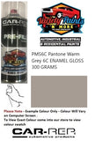 PMS6C Pantone Warm Grey 6C Custom ENAMEL GLOSS 300 GRAMS