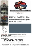 PMS7545 PANTONE® Blue Matt Enamel Custom Spray Paint 300 Grams