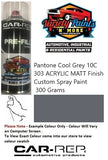 Pantone Cool Grey 10C 303 ACRYLIC Matt Finish Custom Spray Paint 300 Grams