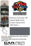 Pantone Cool Grey 10C Enamel Matt Finish Custom Spray Paint 300 Grams