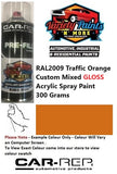 RAL2009 Traffic Orange Custom Mixed Gloss ACRYLIC Spray Paint 300 Grams