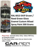 RAL6013 Shilf Gruen / Reed Green Gloss Enamel Custom Mixed Spray Paint 300 Grams