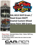 RAL6013 Shilf Gruen / Reed Green MATT Enamel Custom Mixed Spray Paint 300 Grams