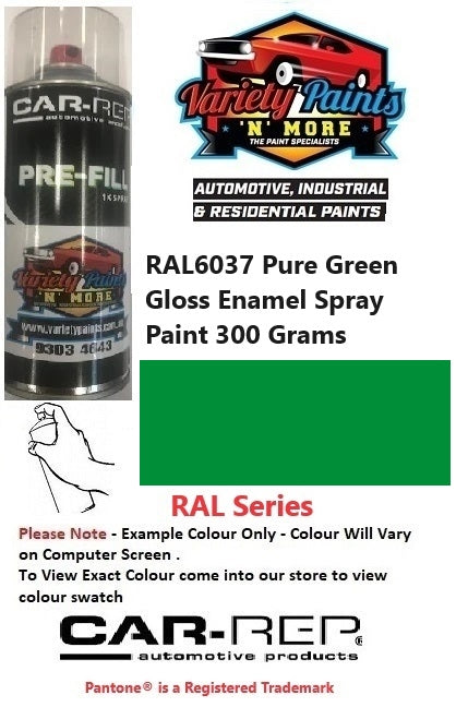 RAL6037 Pure Green Gloss Enamel Spray Paint 300 Grams 1IS 45A