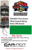 RAL6037 Pure Green Gloss Enamel Spray Paint 300 Grams