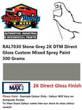 RAL7030 Stone Grey 2K DTM Direct Gloss Custom Mixed Spray Paint 300 Grams 1IS 18A