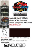 RAL8022 Black Brown Gloss Acrylic Custom Mixed Spray Paint 300 Grams
