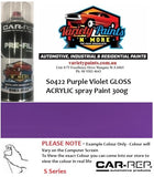S0422 Purple Violet GLOSS ACRYLIC spray Paint 300g