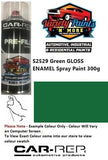 S2529 Green GLOSS Enamel Spray Paint 300g 