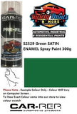 S2529 Green SATIN Enamel Spray Paint 300g