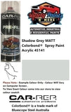 Shadow Grey MATT Colorbond®  Spray Paint Acrylic 45141