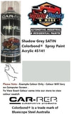 Shadow Grey SATIN Colorbond®  Spray Paint Acrylic 45141 S4929 300G