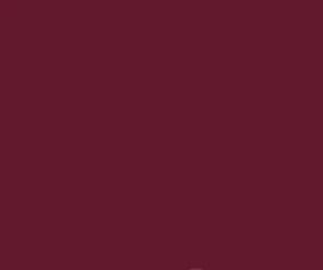 PMS7421 Burgundy PANTONE® Custom ACRYLIC MATT Spray Paint 300 GRAMS