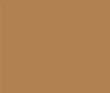 RAL1011 Brown Beige Custom GLOSS Acrylic Spray Paint 300 Grams