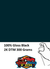 100% CT113 Gloss Jet Black 2K Direct Gloss Enamel Custom Spray Paint 300 Grams CT113