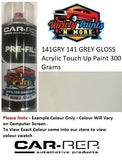 141GRY 141 GREY GLOSS Acrylic Touch Up Paint 300 Grams 