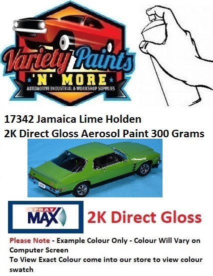 17342 Jamaica Lime Holden ACRYLIC Aerosol Paint 300 Grams