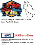 18S5424 Grey 2K Direct Gloss Custom Spray Paint 300 Grams