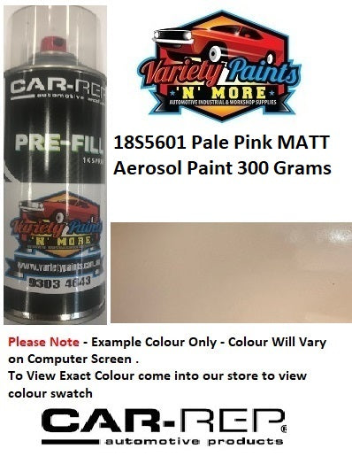 18S5601 Pale Pink MATT Aerosol Paint 300 Grams