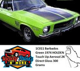 1C011 Barbados Green 1974 HOLDEN Touch Up Aerosol 2K Direct Gloss 300 Grams