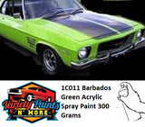 1C011 Barbados Green 1974 HOLDEN Touch Up Aerosol Acrylic 300 Grams 