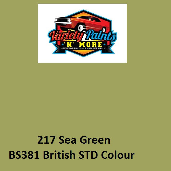 217 Sea Green British Standard Gloss Enamel Aerosol 300 Grams