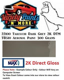22100 Takeuchi Dark Grey 2K DTM TB510 Aerosol Paint 300 Grams 
