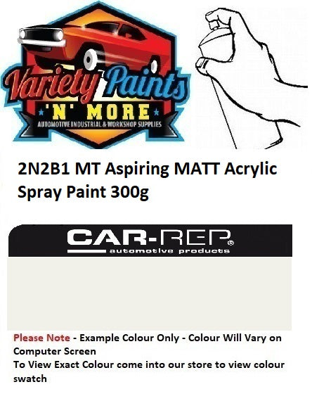 2N2B1 MT Aspiring MATT Acrylic Spray Paint 300g 2IS 52A