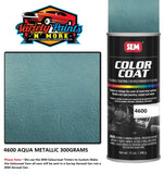 4600 Aqua SEM Colourcoat Vinyl Aerosol 300 Grams 