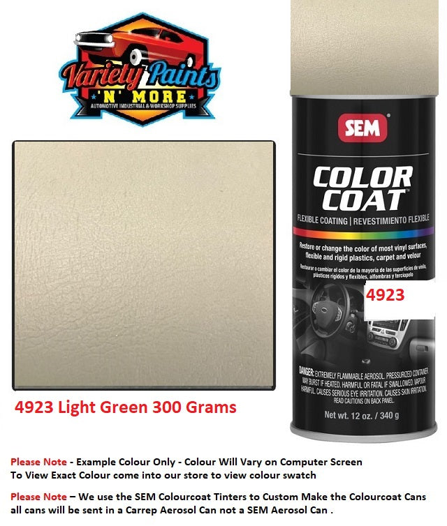 4923 Light Green SEM Sandstone Colourcoat Vinyl Aerosol 300 Grams