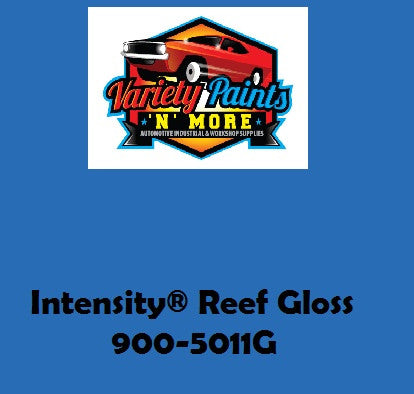 Intensity Reef Gloss 900-5011G Spray Paint 300g S3707
