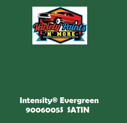 Intensity Evergreen 9006005S  SATIN Spray Paint 300g